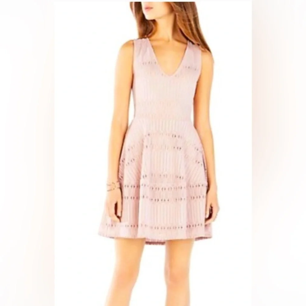 BCBGMaxAzria Blush Lace Detail Dress size M - Picture 1 of 4